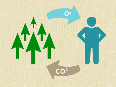 تبدیل دی اکسید کربن به اکسیژن