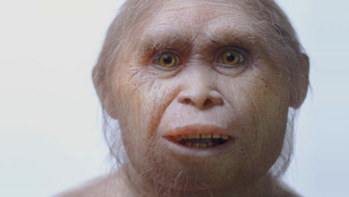 image_3935f-Homo-floresiensis