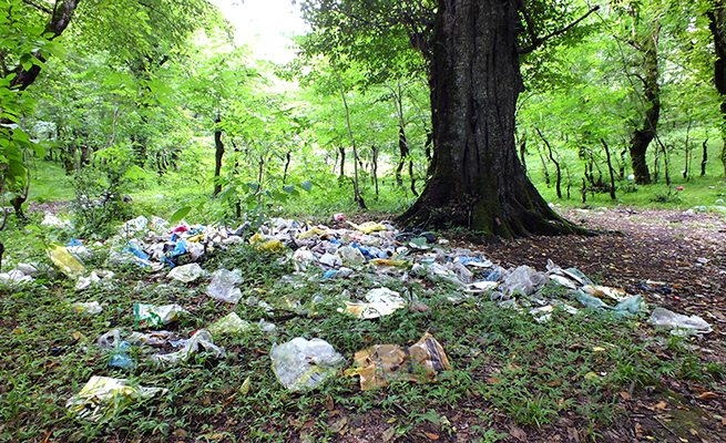 فرهنگ‌سازی برای مقابله با رهاسازی زباله در طبیعت